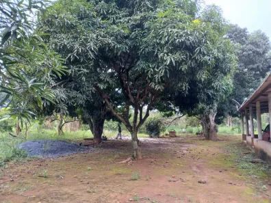 Fazenda / Sítio / Chácara à venda, 100000m² no Área Rural de Santo Antônio do Descoberto, Santo Antônio do Descoberto