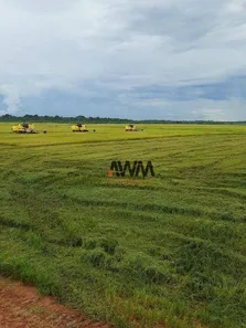 Fazenda / Sítio / Chácara à venda, 21538000m² no , Pedro Afonso