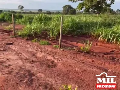 Fazenda / Sítio / Chácara à venda, 500m² no , Lagoa Santa
