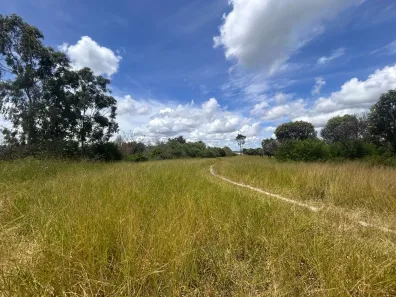 Fazenda / Sítio / Chácara à venda, 140000m² no , Chã Grande