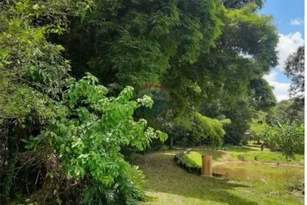 Fazenda / Sítio / Chácara com 4 Quartos à venda, 40000m² no Parque da Barragem Setor 08, Águas Lindas de Goiás