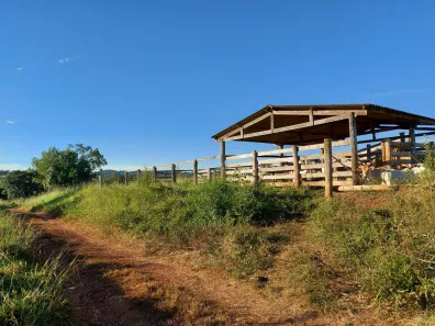 Fazenda / Sítio / Chácara com 2 Quartos à venda, 64130m² no , Nerópolis