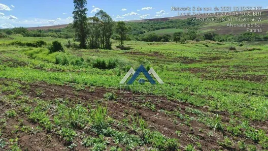 Fazenda / Sítio / Chácara com 2 Quartos à venda, 151m² no Rural, Alvorada do Sul