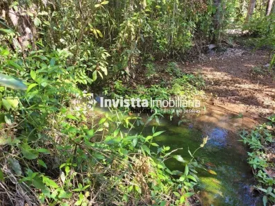 Fazenda / Sítio / Chácara à venda, 24980m² no , Pedro Afonso