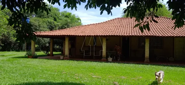 Fazenda / Sítio / Chácara com 3 Quartos para alugar, 260m² no Conjunto Habitacional Pedro Perri, Araçatuba