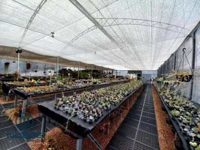 Galpão / Depósito / Armazém para alugar, 731m² no Várzea, Teresópolis