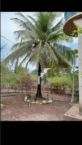 Terreno / Lote / Condomínio à venda, 18600000m² no Zona Rural, Altos