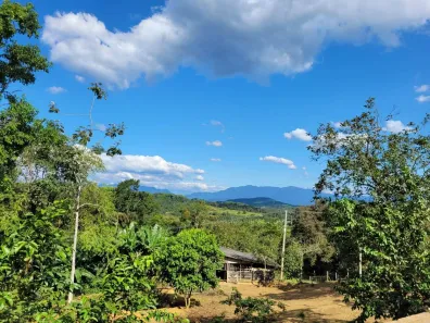 Fazenda / Sítio / Chácara com 3 Quartos à venda, 100000m² no Antonina, Antonina