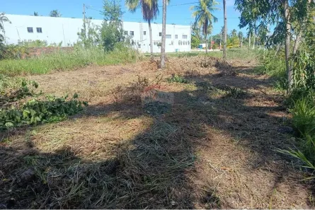 Terreno / Lote / Condomínio à venda, 300m² no , Maragogi