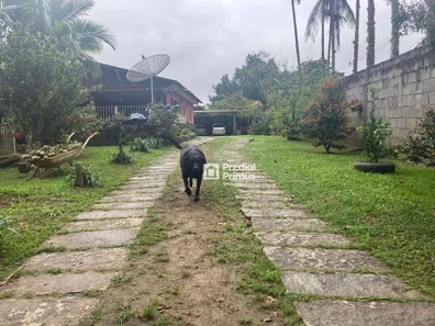 Fazenda / Sítio / Chácara com 3 Quartos à venda, 15000m² no Rui Sanglard, Nova Friburgo