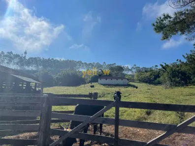 Fazenda / Sítio / Chácara com 10 Quartos à venda, 3146000m² no Boa Vista, Igaratá