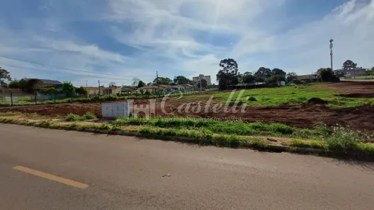 Terreno / Lote / Condomínio para alugar, 10000m² no Uvaranas, Ponta Grossa