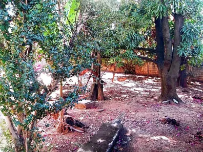 Casa com 4 Quartos à venda, 140m² no Felipe Cláudio de Sales, Pedro Leopoldo