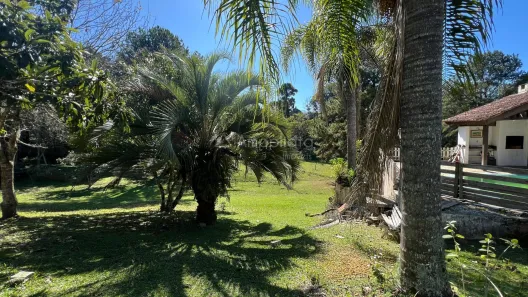 Fazenda / Sítio / Chácara com 3 Quartos para alugar, 161m² no Jardim da Colina, Campina Grande do Sul