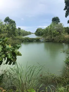 Fazenda / Sítio / Chácara com 5 Quartos à venda, 1326m² no , Formoso do Araguaia