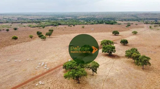 Fazenda / Sítio / Chácara à venda, 19166400m² no , Lagoa da Confusão