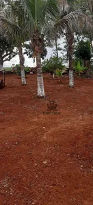 Fazenda / Sítio / Chácara com 2 Quartos à venda, 100m² no Assaí, Assaí