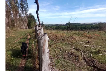 Fazenda / Sítio / Chácara com 1 Quarto à venda, 47m² no Vila Cesari Purgato, Mombuca