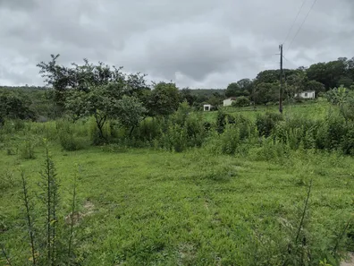 Terreno / Lote / Condomínio à venda, 20000m² no , Fortuna de Minas