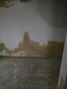 Casa com 2 Quartos à venda, 80m² no Tinguá, Nova Iguaçu
