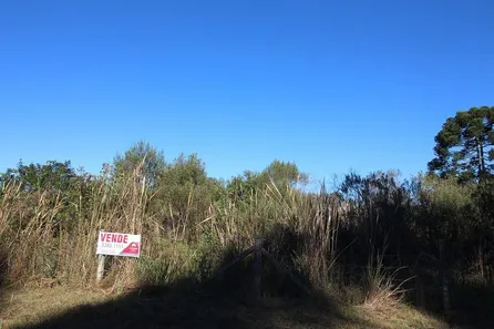 Galpão / Depósito / Armazém à venda, 12510m² no Campo Largo da Roseira, São José dos Pinhais