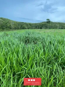 Fazenda / Sítio / Chácara à venda, 1064800m² no Plano Diretor Sul, Palmas