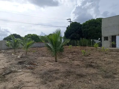 Fazenda / Sítio / Chácara à venda, 65000m² no Centro, Pilar