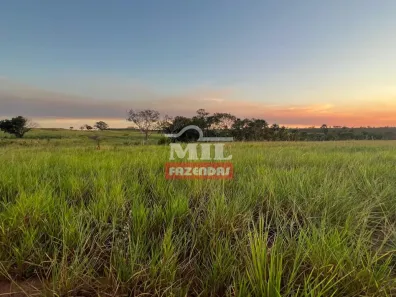 Fazenda / Sítio / Chácara à venda, 500m² no Setor Central, Ponte Alta do Tocantins