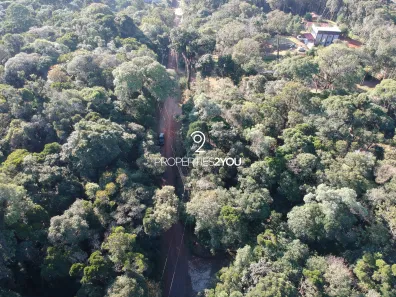 Fazenda / Sítio / Chácara à venda, 5000m² no Borda do Campo, Quatro Barras