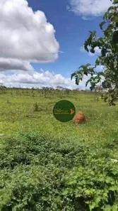 Fazenda / Sítio / Chácara à venda, 360000m² no Chácaras Quedas do Descoberto, Águas Lindas de Goiás