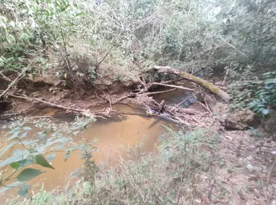 Fazenda / Sítio / Chácara com 4 Quartos à venda, 20000m² no , Brasília