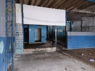 Galpão / Depósito / Armazém para alugar, 310m² no Jardim Paulicéia, Campinas