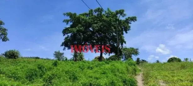 Fazenda / Sítio / Chácara com 2 Quartos à venda, 4m² no Gurugi, Conde