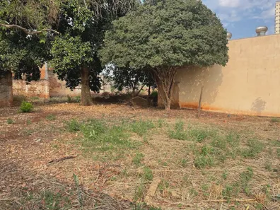 Loja / Salão / Ponto Comercial com 3 Quartos à venda, 269m² no Centro, Sertãozinho