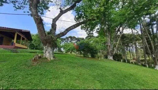 Fazenda / Sítio / Chácara com 6 Quartos à venda, 144000m² no Jardim Pinheiros, Quatro Barras