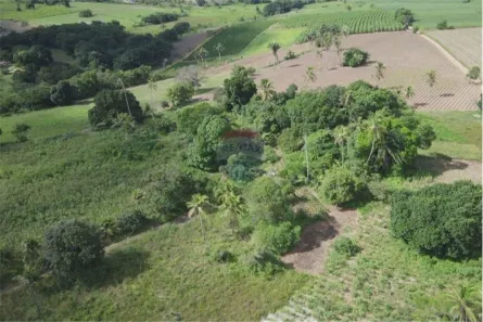Terreno / Lote Comercial à venda, 90000m² no , Alhandra