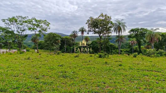 Fazenda / Sítio / Chácara com 2 Quartos à venda, 3388000m² no Área Rural de Formosa, Formosa