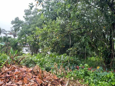Terreno / Lote / Condomínio à venda, 2340m² no Camburi, São Sebastião