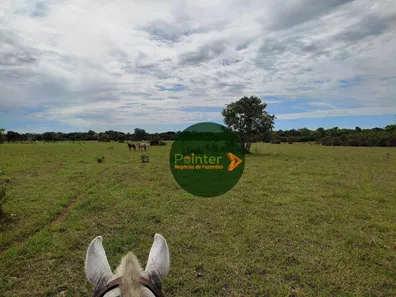 Fazenda / Sítio / Chácara à venda, 13552000m² no , Formoso do Araguaia