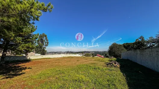 Fazenda / Sítio / Chácara à venda, 3300m² no Jardim Boa Vista, Campo Largo