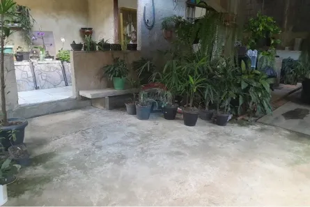 Fazenda / Sítio / Chácara com 2 Quartos à venda, 264m² no Banquete, Bom Jardim