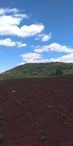 Fazenda / Sítio / Chácara à venda, 145200m² no Jardim Ouro verde, Guairaçá