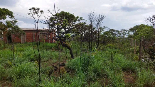 Fazenda / Sítio / Chácara com 1 Quarto à venda, 21000m² no Área Rural do Gama, Brasília