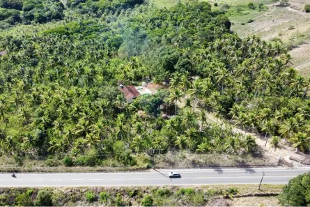 Fazenda / Sítio / Chácara com 2 Quartos à venda, 166999m² no Mituaçu, Conde
