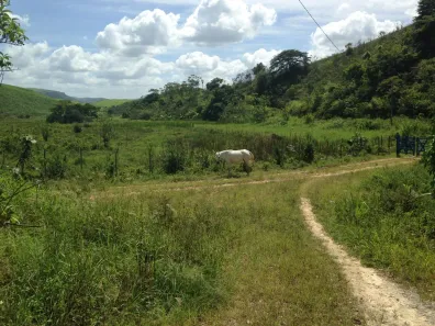 Fazenda / Sítio / Chácara com 3 Quartos à venda, 660000m² no , Pombos