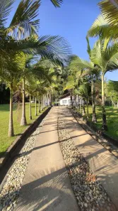 Fazenda / Sítio / Chácara com 7 Quartos à venda, 150000m² no , São João Batista