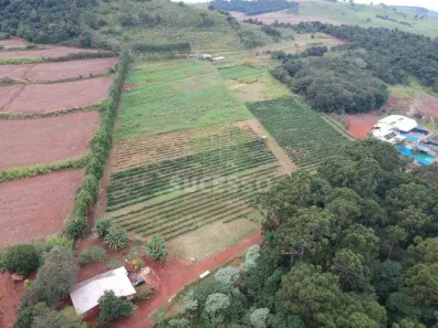 Fazenda / Sítio / Chácara à venda, 84089m² no Santa Felicidade, Cascavel