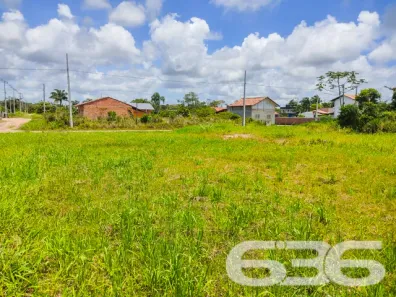 Terreno / Lote / Condomínio à venda, 490m² no Praia do Ervino, São Francisco do Sul