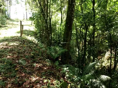 Terreno / Lote / Condomínio à venda, 2946m² no Bugre, Balsa Nova