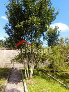 Fazenda / Sítio / Chácara à venda, 200m² no Jardim Aguapeu, Itanhaém